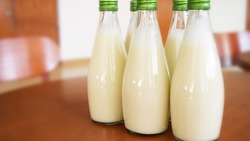 Белгородская область продемонстрировала высокие показатели по приросту производства молока