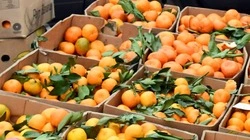 Весной организм человека нуждается в витаминах для иммунитета