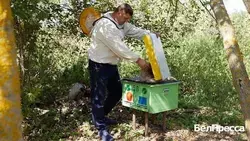 Вячеслав Гладков сообщил о запуске чат-бота для оформления соцконтрактов в национальном мессенджере