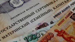 Более 4,5 тысячи белгородских семей получают ежемесячную выплату из материнского капитала 