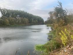 Сергей Морозов провёл большой прямой эфир в социальных сетях