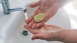 Роспотребнадзор анонсировал старт всероссийской санитарно-просветительской акции «Диктант здоровья»