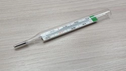 Управление Роспотребнадзора по Белгородской области напомнило о мерах профилактики гриппа