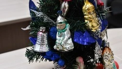 Татьяна Должикова из Чернянки рассказала интересную новогоднюю историю из детства