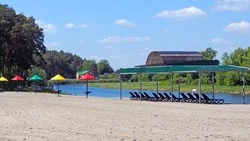 Жители Чернянки смогут взять в аренду земельные участки в Ездочном и на Красном Острове 