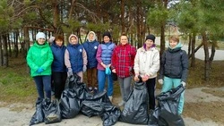 Чернянцы приняли активное участие в региональном экологическом субботнике
