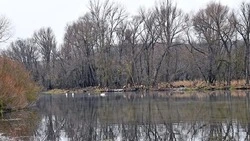 Жители округа поинтересовались качеством очистки водных объектов