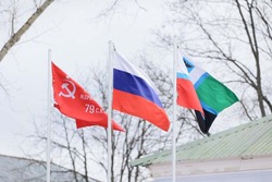 Президент России Владимир Путин объявил 2025 год Годом защитника Отечества