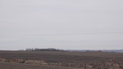 Нина Петращук из Малотроицкого прислала в редакцию новый рассказ «Наша общая Победа»