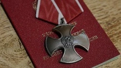 Сотрудник музея Татьяна Ободенко рассказала о сохранении памяти о погибших на СВО героях-чернянцах