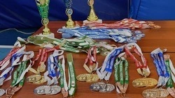 Около 35 тысяч белгородцев сдали нормативы ГТО с начала текущего года
