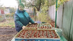 Галина Шигатова из Александровки: «Когда отдаю гуманитарную помощь, камень с души сваливается»