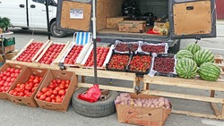 Ярмарка напомнила чернянцам о наступлении лета и начале активных работ на огородах и грядках