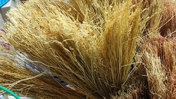 Жительница Чернянки под псевдонимом Везунчик прислала в редакцию рассказ «Третий веник»