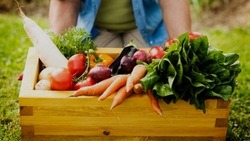 Жители и гости Чернянского района смогут продать сезонные овощи на рынке