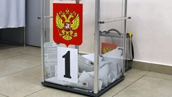 Чернянцы смогут проголосовать на выборах 14 сентября 2025 года дистанционно