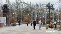 Жители Белгородской области стали отказываться от алкоголя в пользу здорового образа жизни