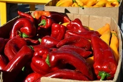 Пять сельскохозяйственных ярмарок пройдут в Чернянке в мае