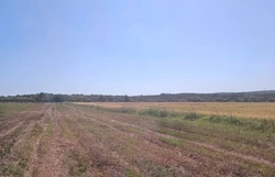 Постановление Администрации Чернянского муниципального округа  от 24.03.2026 г. № 274