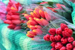 Традиционная ярмарка цветов пройдёт в Чернянке к Международному женскому дню 