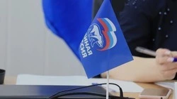 Конкурс социально значимых проектов первичных отделений «Единой России» прошёл в Чернянке