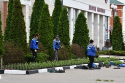 Власти объявили месячник защиты от экологической опасности