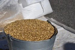 Администрация Чернянского округа пригласила жителей на традиционную сельскохозяйственную ярмарку