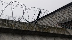 Чернянские полицейские предупредили об ответственности за выращивание наркосодержащих растений