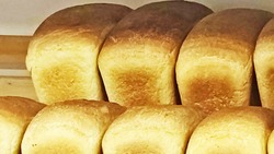Чернянцы смогут поддержать белгородских производителей органической продукции