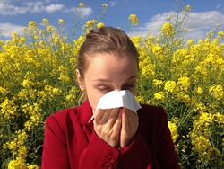 Чернянские медики — о причинах сезонной аллергии
