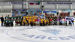 Хоккеисты Белгородчины выиграли любительский кубок Черноземья