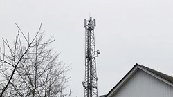 Вячеслав Гладков поручил широко информировать жителей о «Белых списках» Минцифры