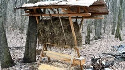 Чернянский клуб охотников и рыболовов «Заречье» приобрёл фотоловушки на средства гранта