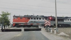 Полицейские проведут профилактическую акцию «Безопасный транспорт» в Чернянском округе