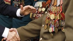 Вячеслав Гладков объявил о начале выплат участникам Великой Отечественной войны к 80-летию Победы