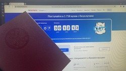 Белгородские выпускники могут подать документы в вуз через госуслуги