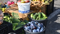 Производители Чернянского района вновь представят продукцию на ярмарке выходного дня