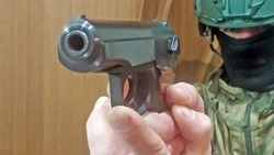 Сотрудники лицензионно-разрешительной системы Росгвардии отмечают сегодня профессиональный праздник