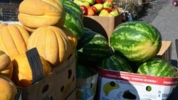 Житель Чернянки попадёт на скамью подсудимых за кражу арбузов и апельсинов