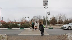 Чернянец получил наказание в виде ограничения свободы сроком на два года за наезд на пешехода