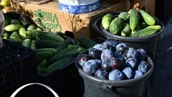Ежедневное потребление фруктов и овощей снижает риск развития диабета и других болезней