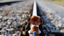 Инспектор линейного отдела Галина Семенихина — о профилактике подростковых самоубийств