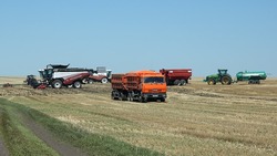 Чернянские хлеборобы приступили к уборке урожая