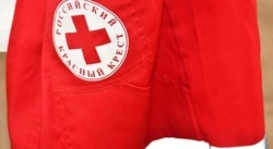 Чернянцы смогут подключиться к акции «Корзина доброты» по сбору продуктов для нуждающихся