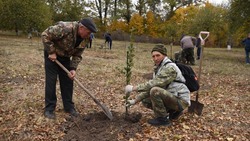 Чернянцы приняли активное участие в лесовосстановительной акции «Сохраним лес»