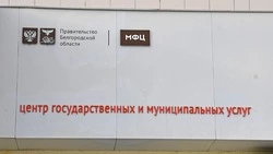 Белгородцы 550 раз воспользовались услугами выездного обслуживания МФЦ за восемь месяцев