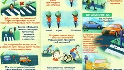 Власти анонсировали месячник безопасности дорожного движения