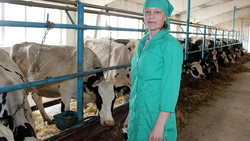 Животноводы воскресеновской фермы получили от каждой коровы 9,5 тонны молока в 2019 году
