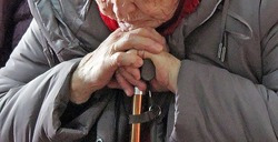 Белгородская область присоединилась к Неделе здорового долголетия