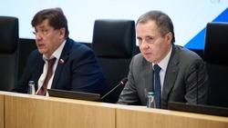 Вячеслав Гладков рассказал о сроках создания туристического кластера в селе Холки Чернянского района
